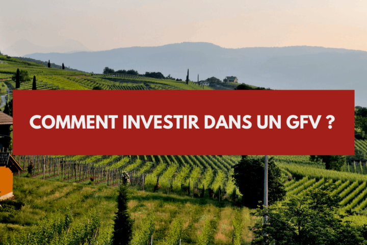 Les groupements fonciers viticoles : une bonne diversification pour votre investissement