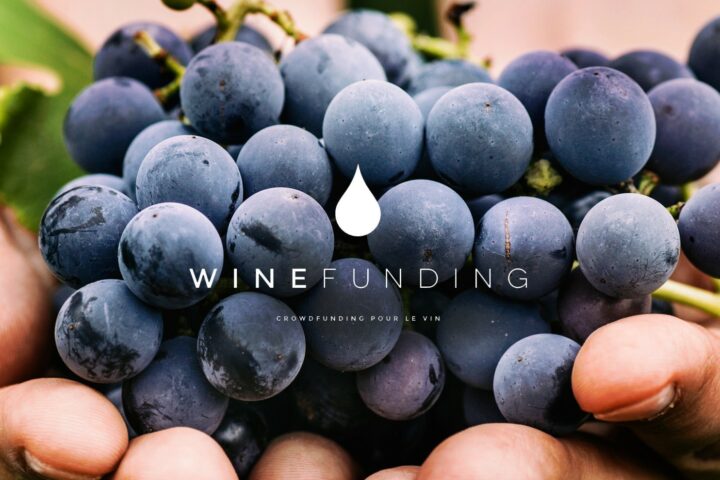 Crowdfunding viticole / winefunding : Une nouvelle opportunité