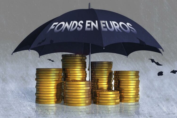 Investir dans des fonds en euros : tout ce qu’il faut savoir
